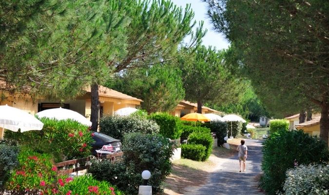 location maison de vacances dans le sud de la France