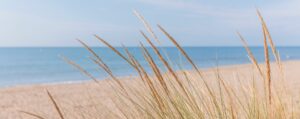 camping à seulement 500 mètres de la plage