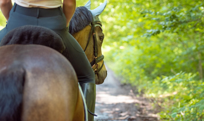 Equitation, balade &agrave; cheval